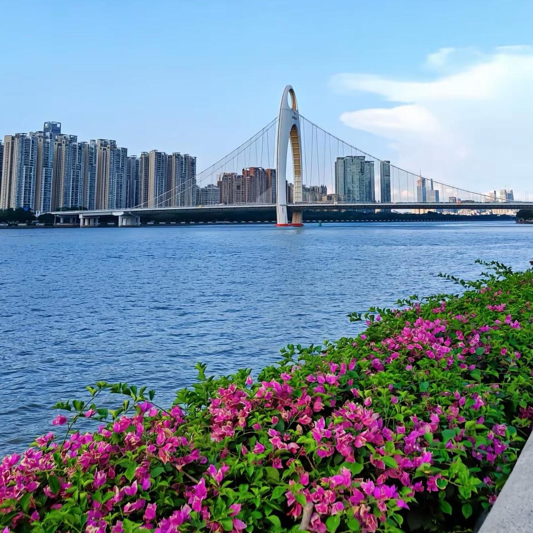 做教育的赵主任