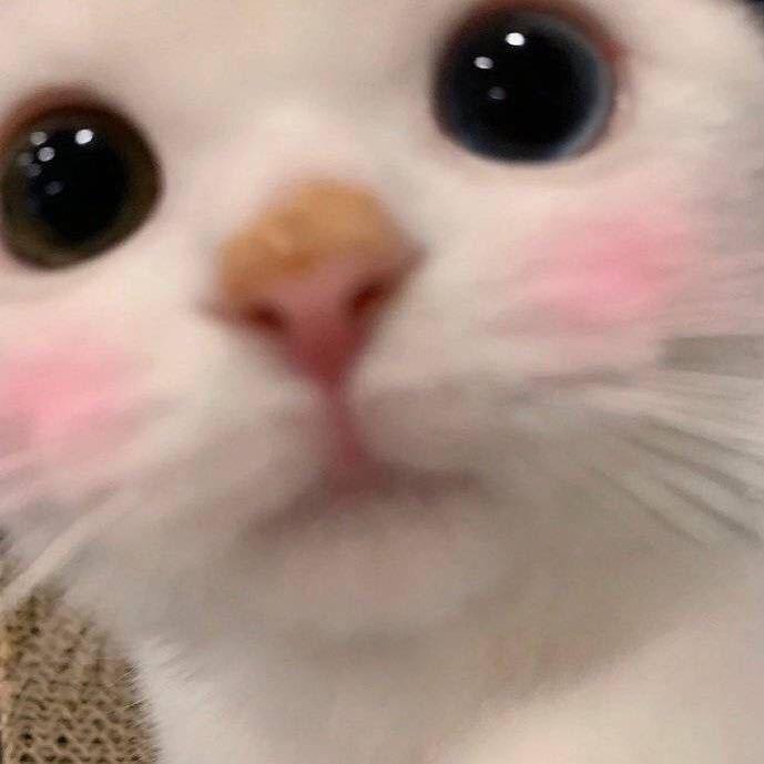 下班不要忘打卡❗️