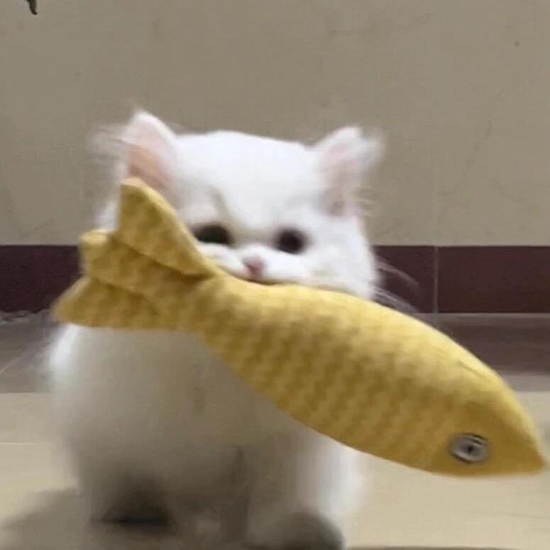 高髙