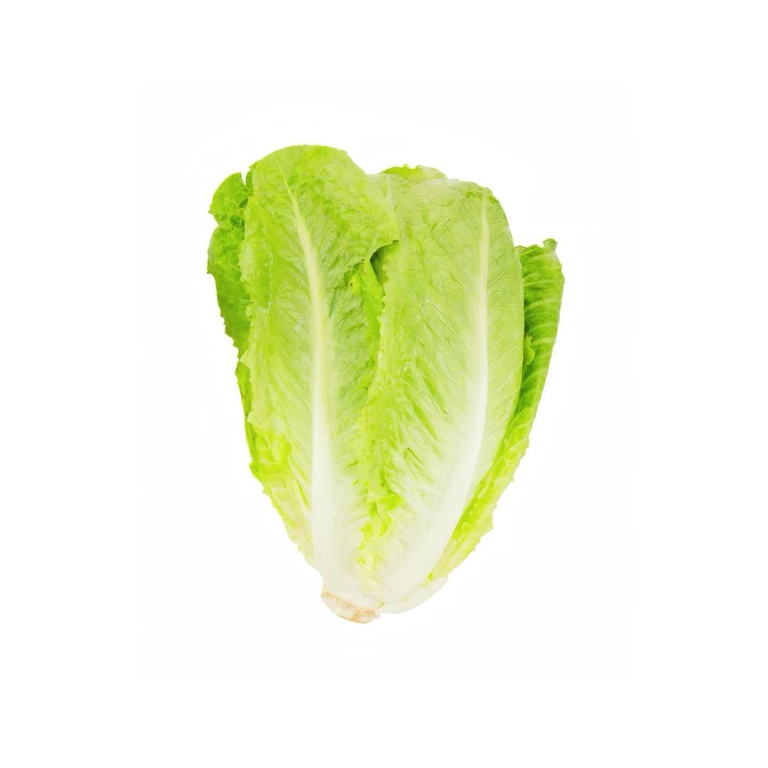 Jan