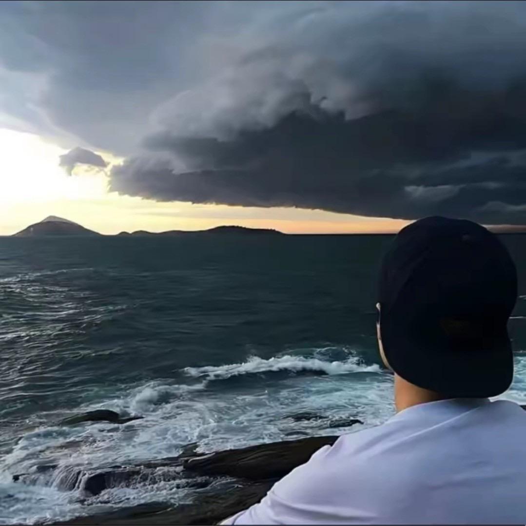 风中落叶