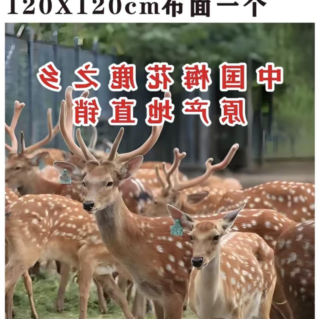 嘉富滋补优选