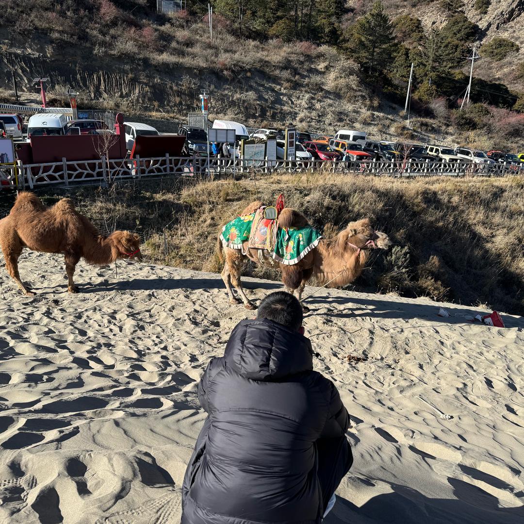 保持每一份热爱