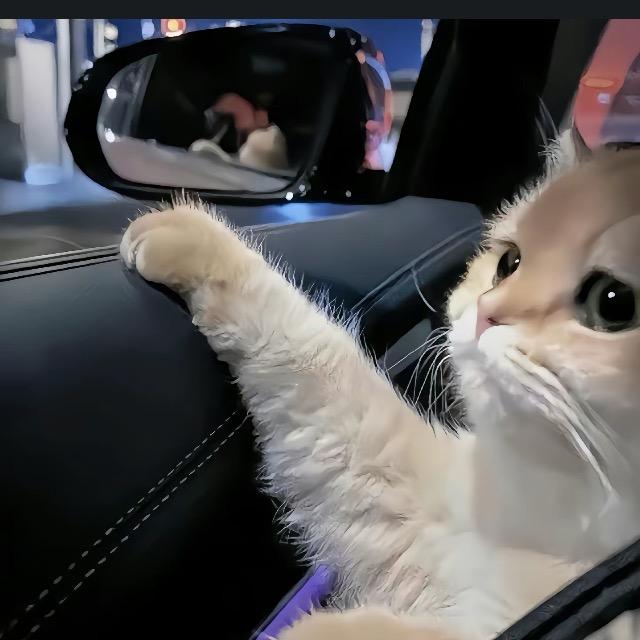 这也太漂亮了吧