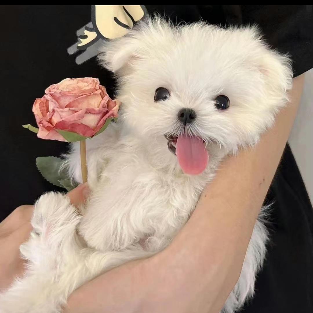我不困.