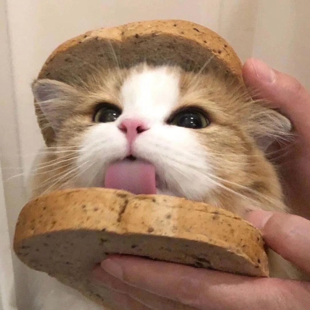 777