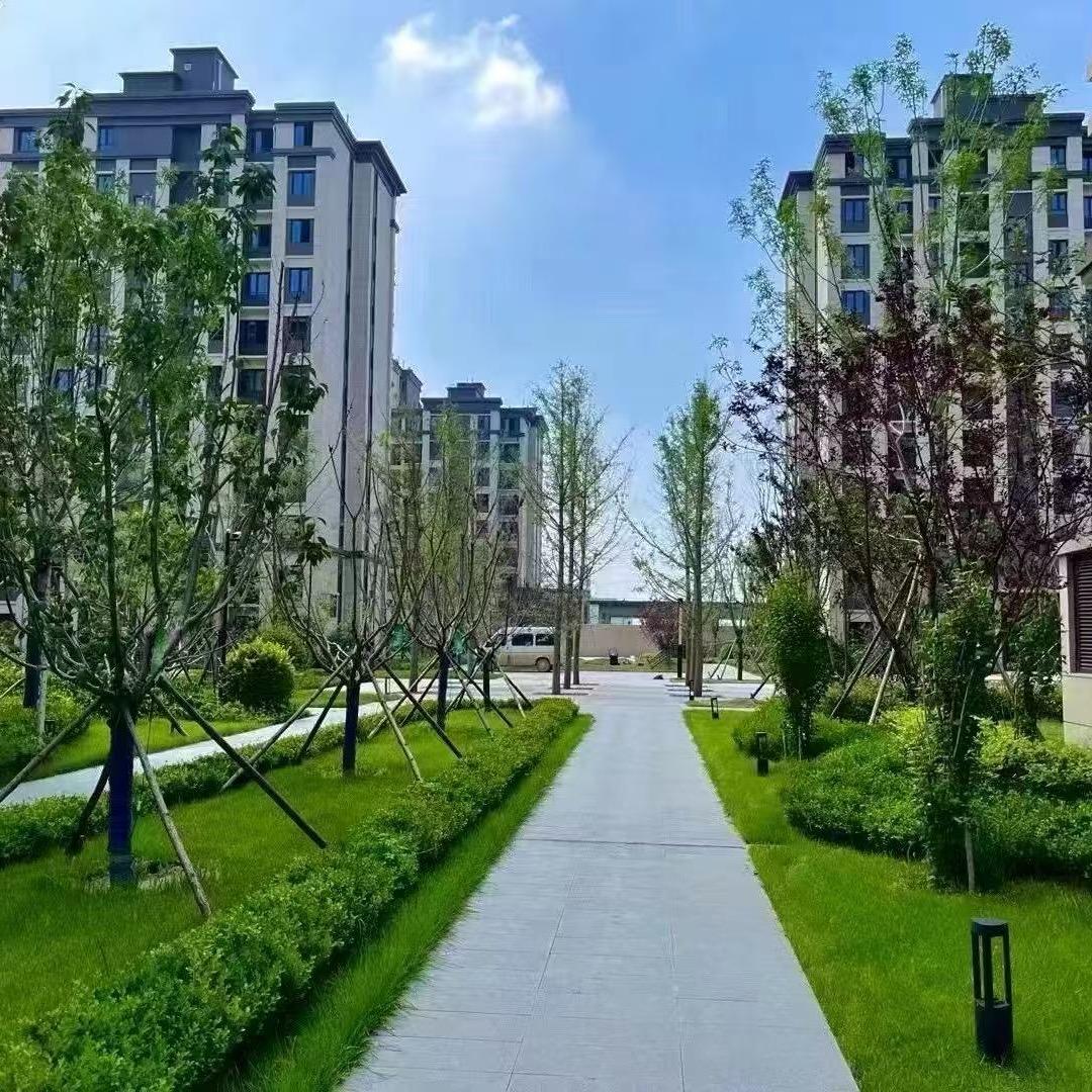 南村实景臻品现房