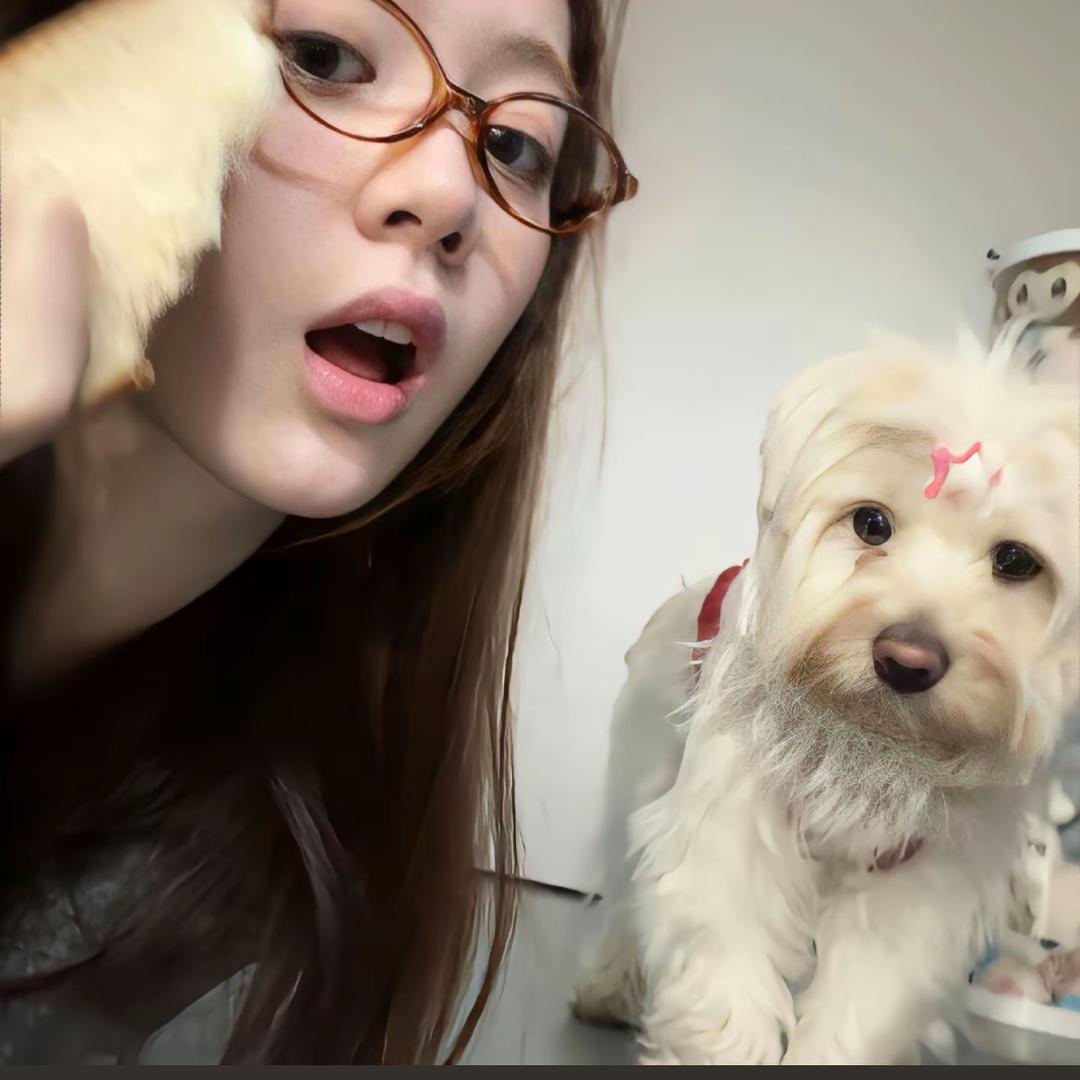 小小韩-