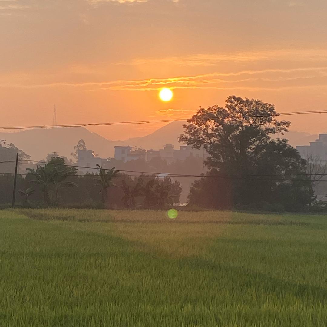 平平淡淡才是生活