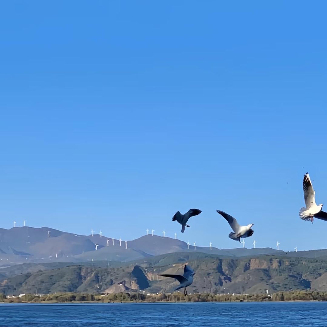 听人劝，吃饱饭