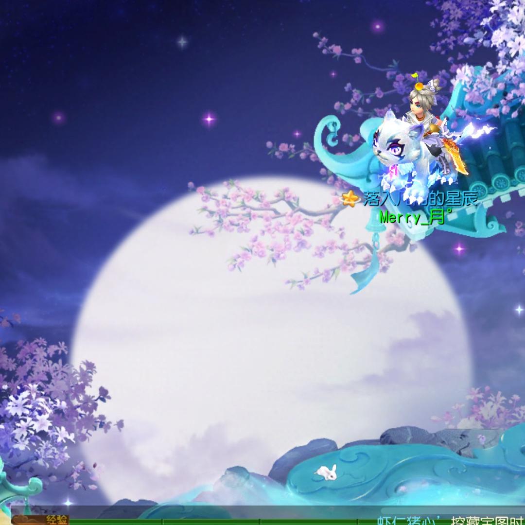 浪浪哥