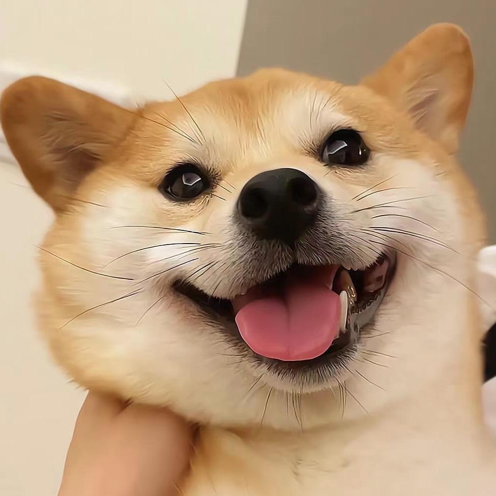 不善言辞