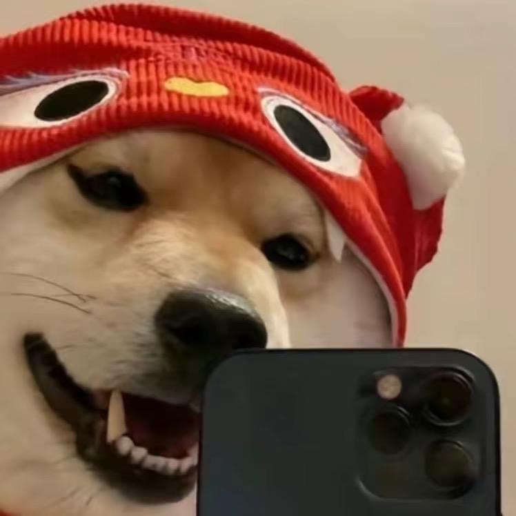 脸¹点也不好👀.