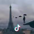 (ಥ_ಥ)伐开心