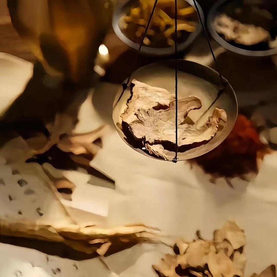 海绵宝宝和派大星