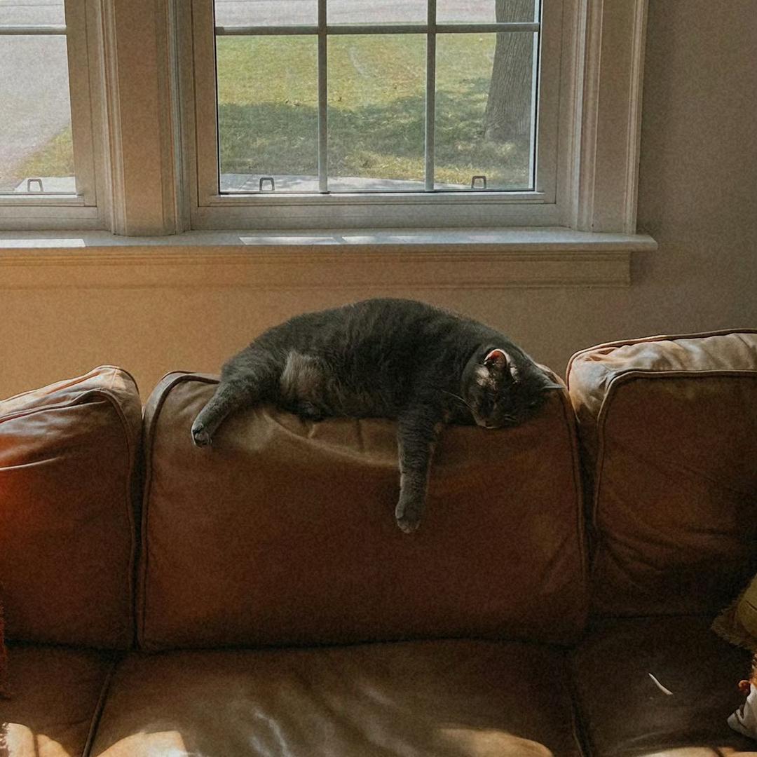 o.O？