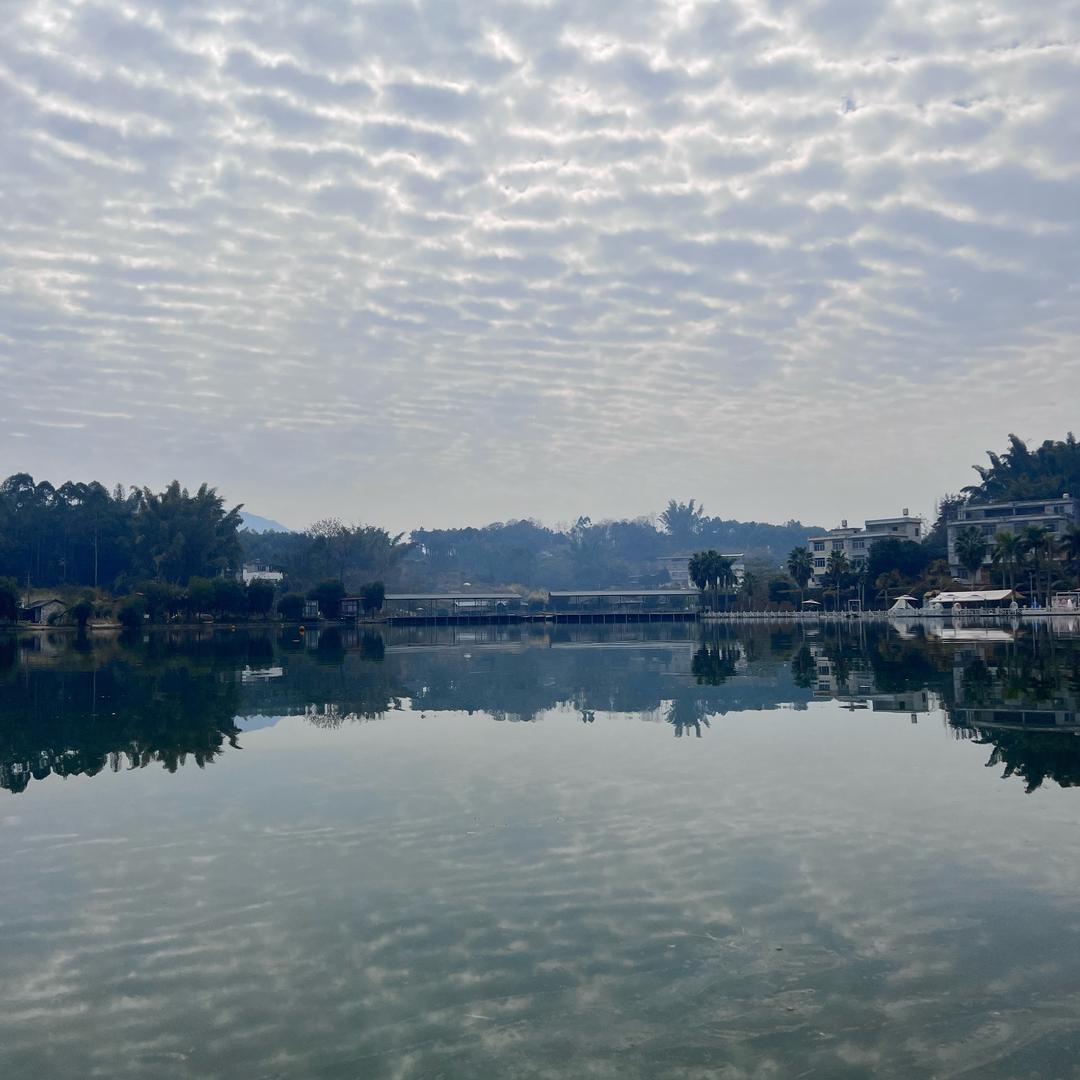 恒温湖出水塘休闲钓场