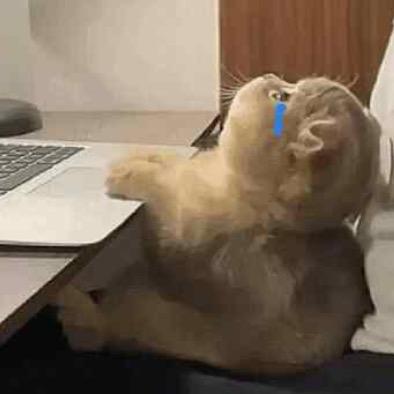 睡到自然醒💤💤