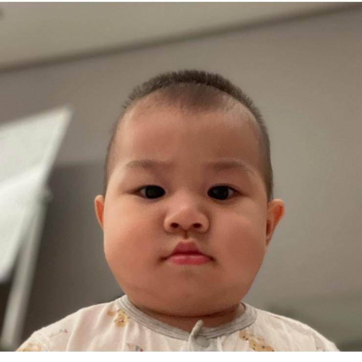 小壁虎Max