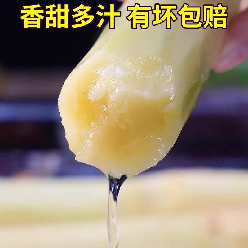 水果猎星