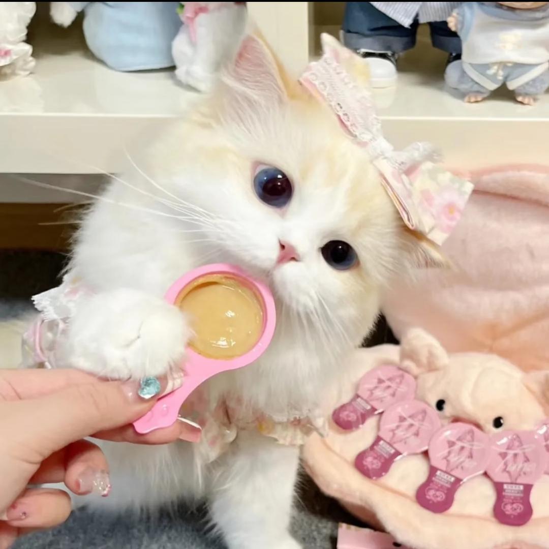 怡.
