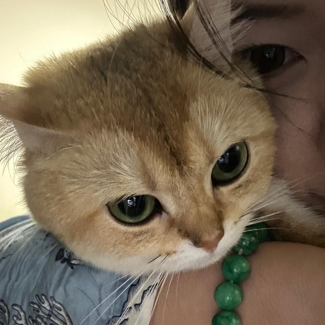 蔫儿坏菠萝油