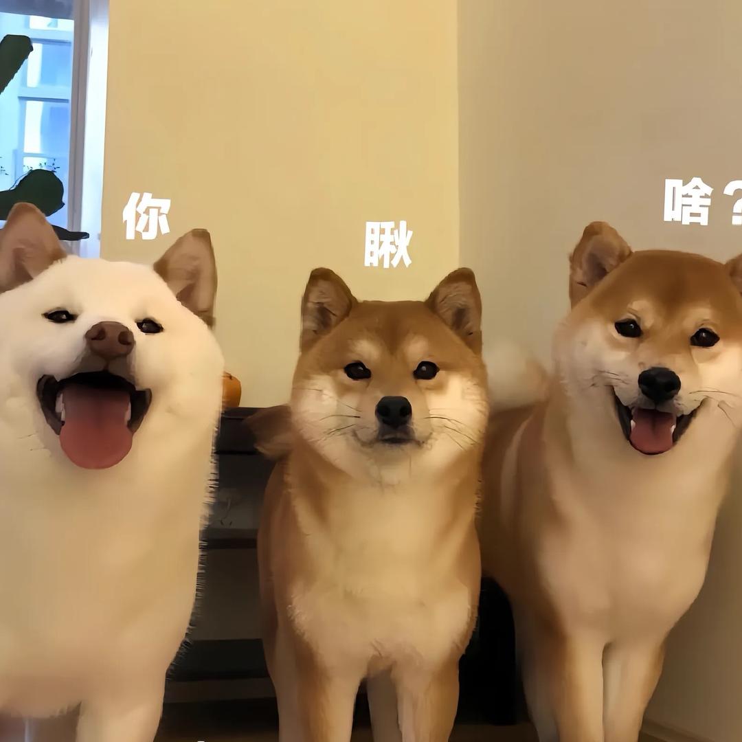 代代