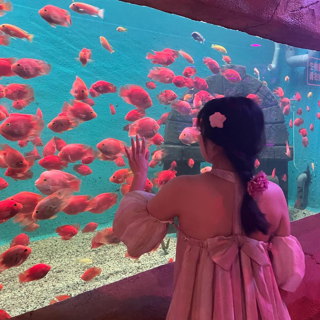 奉花花