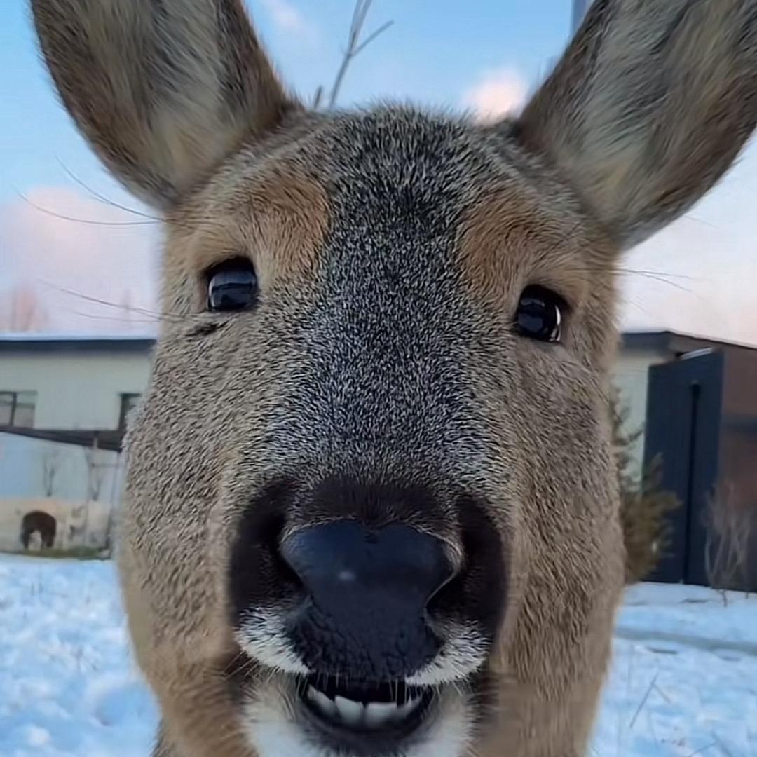 王宣