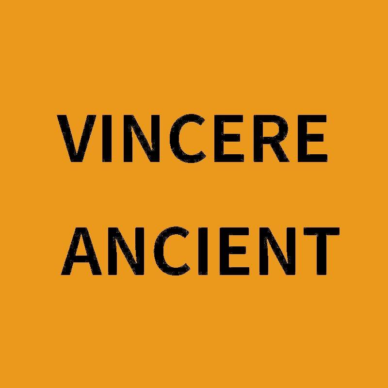 VINCERE ANCIENT个人护理旗舰店