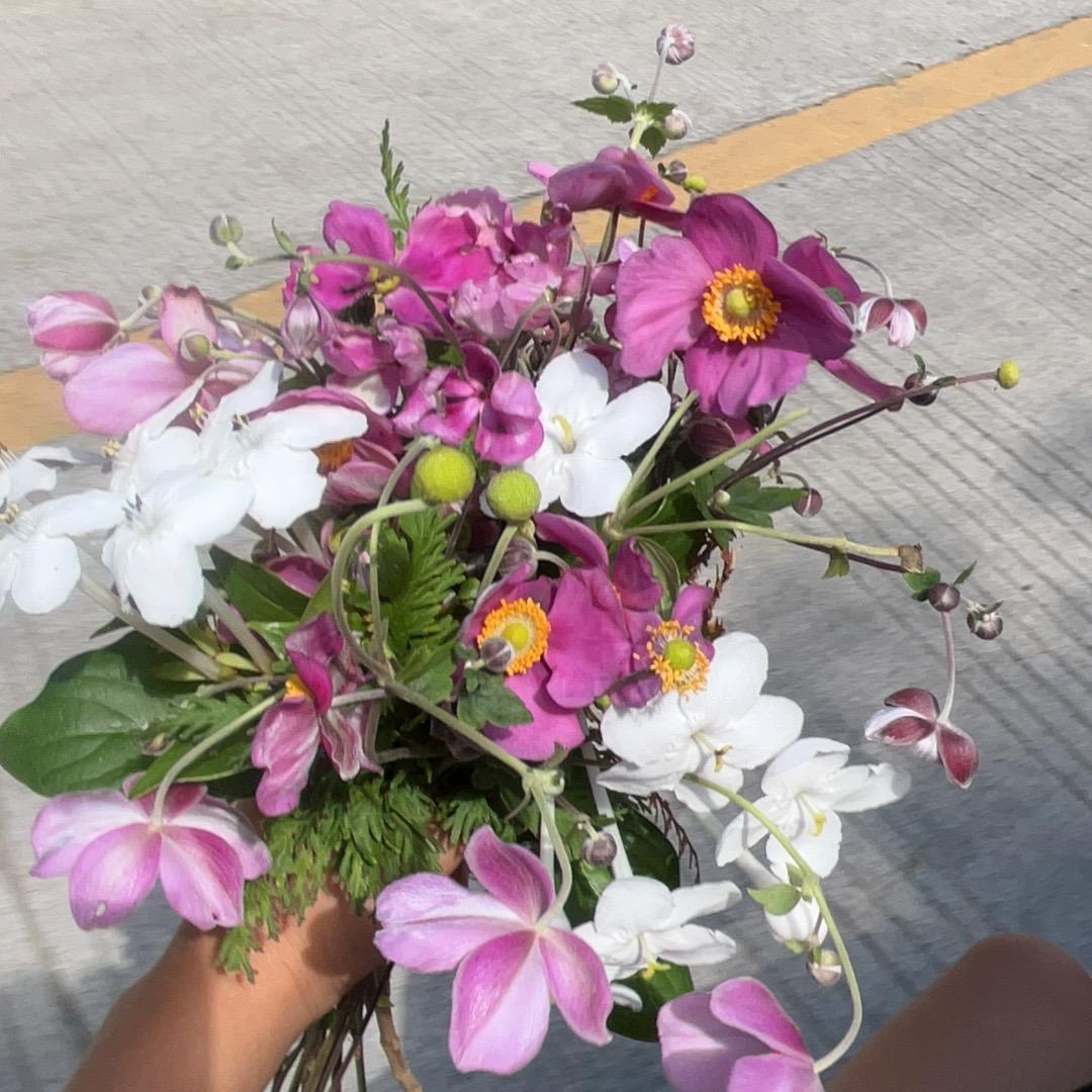 爱意随风起