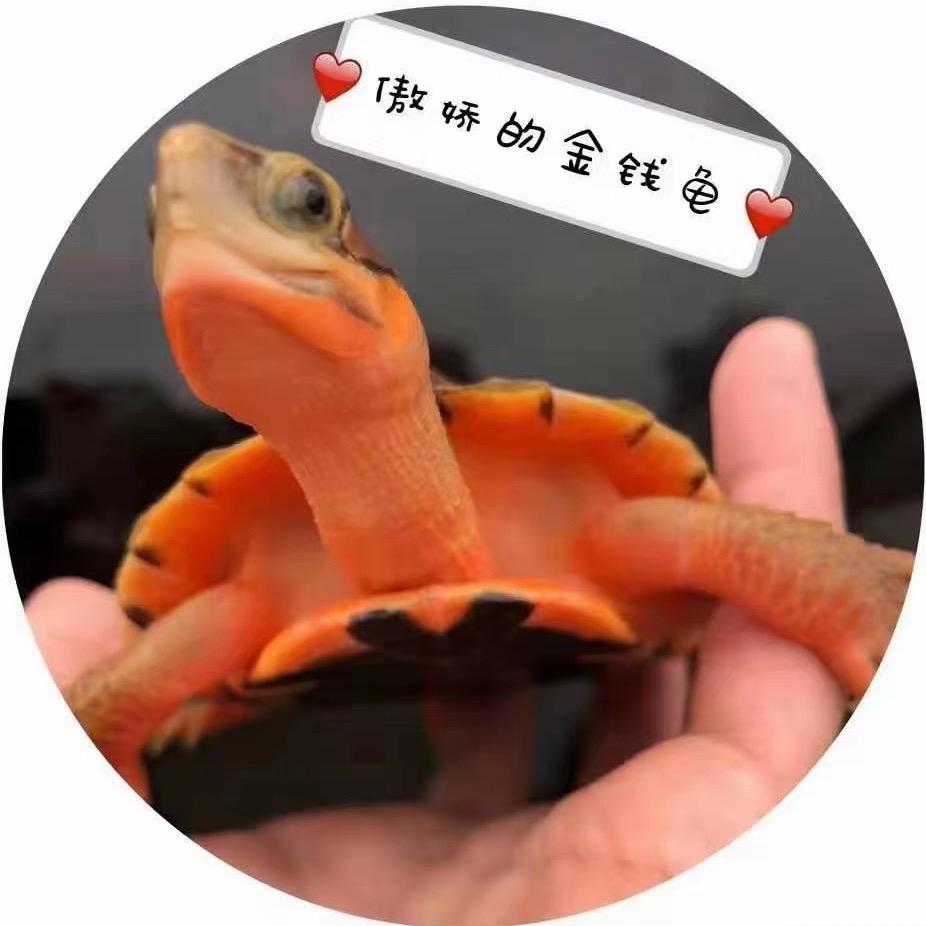 雄图异宠