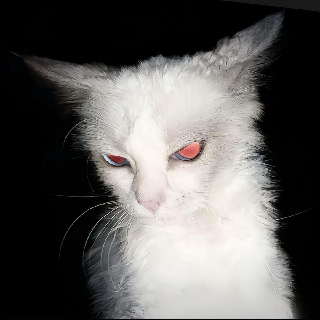 𝑱𝒂𝒄𝒌
