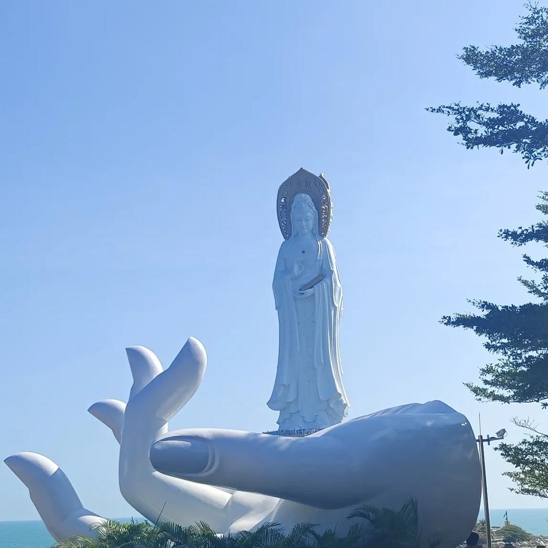 云农好物优选