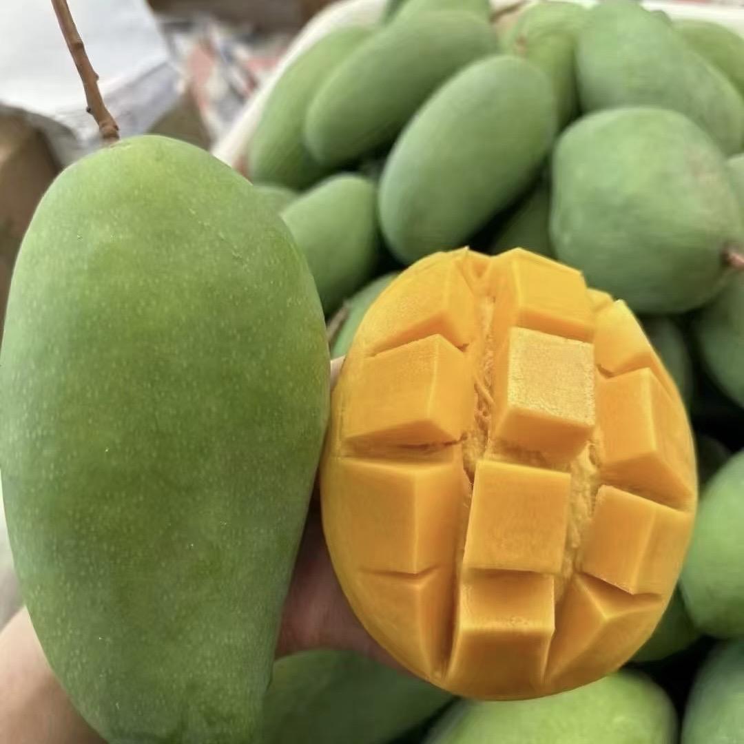 云南大青芒产地直发