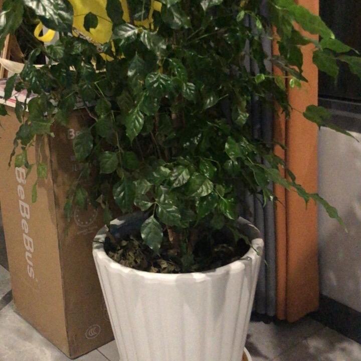 强者不息