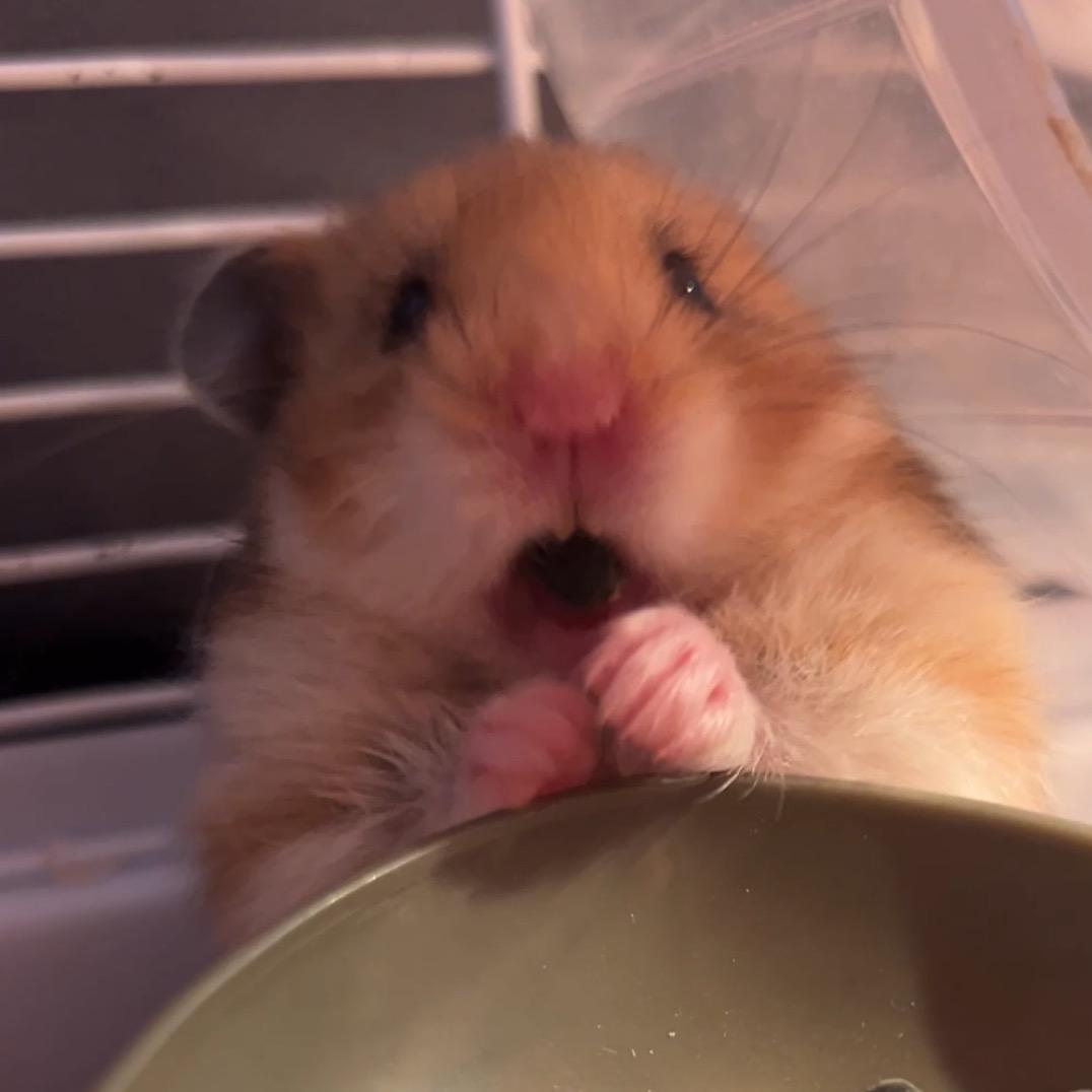 卢啦噜啦嘞