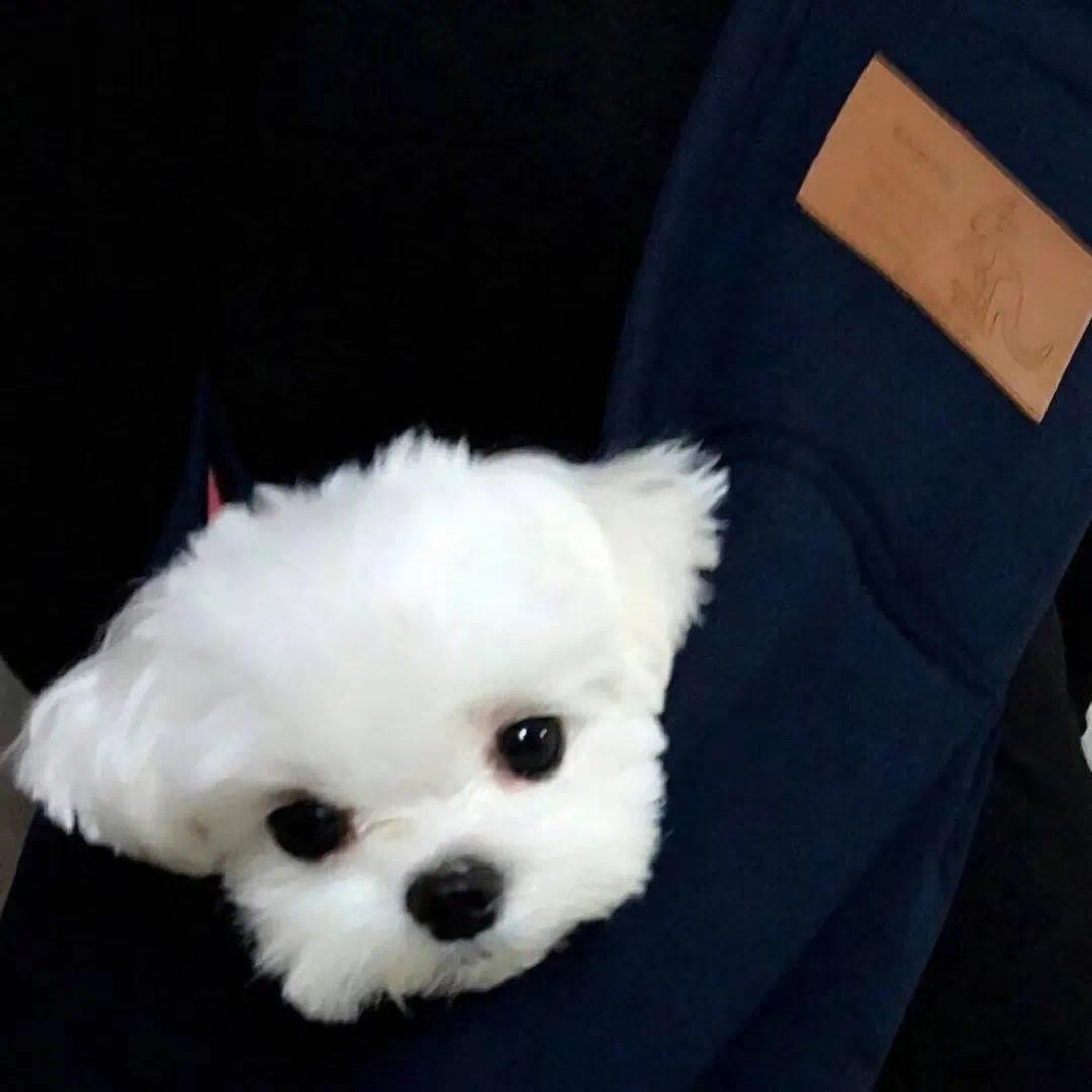 @.
