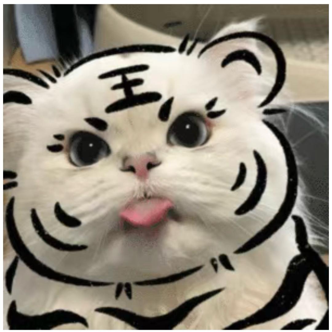 🍃小脑虎～阿呜⚡️