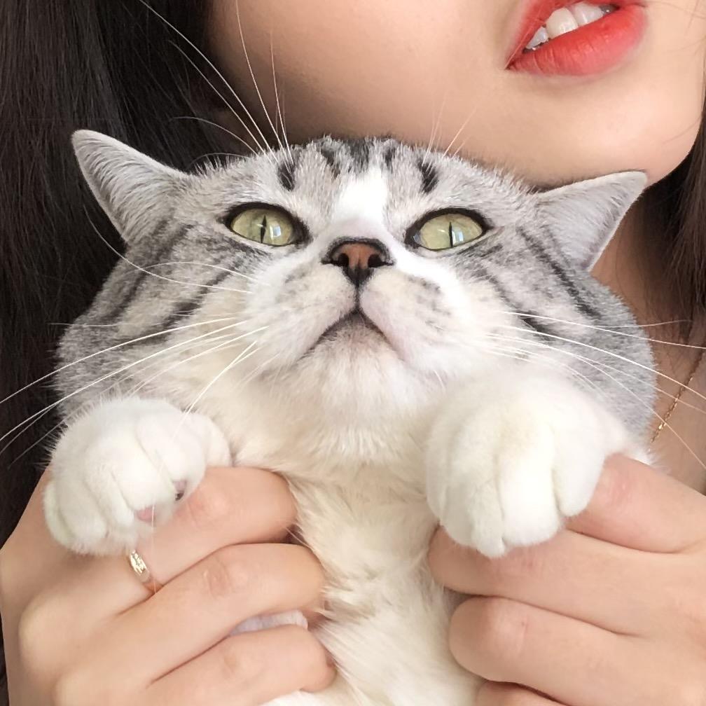 李雪哲你不吃什么