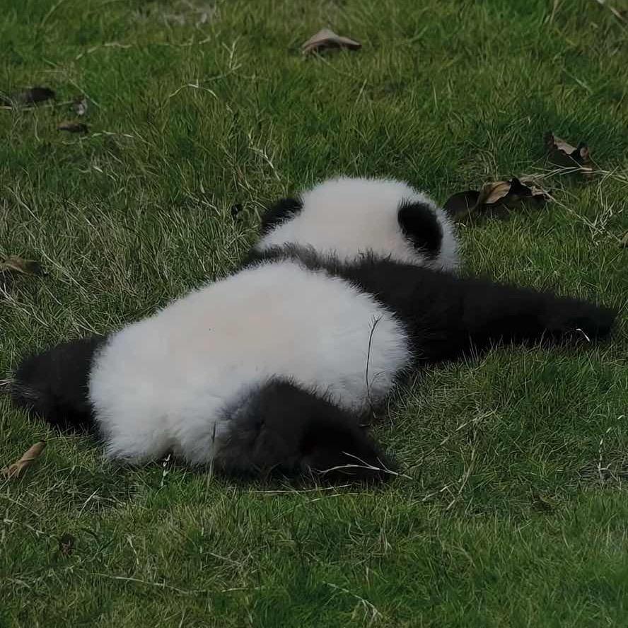 萧业