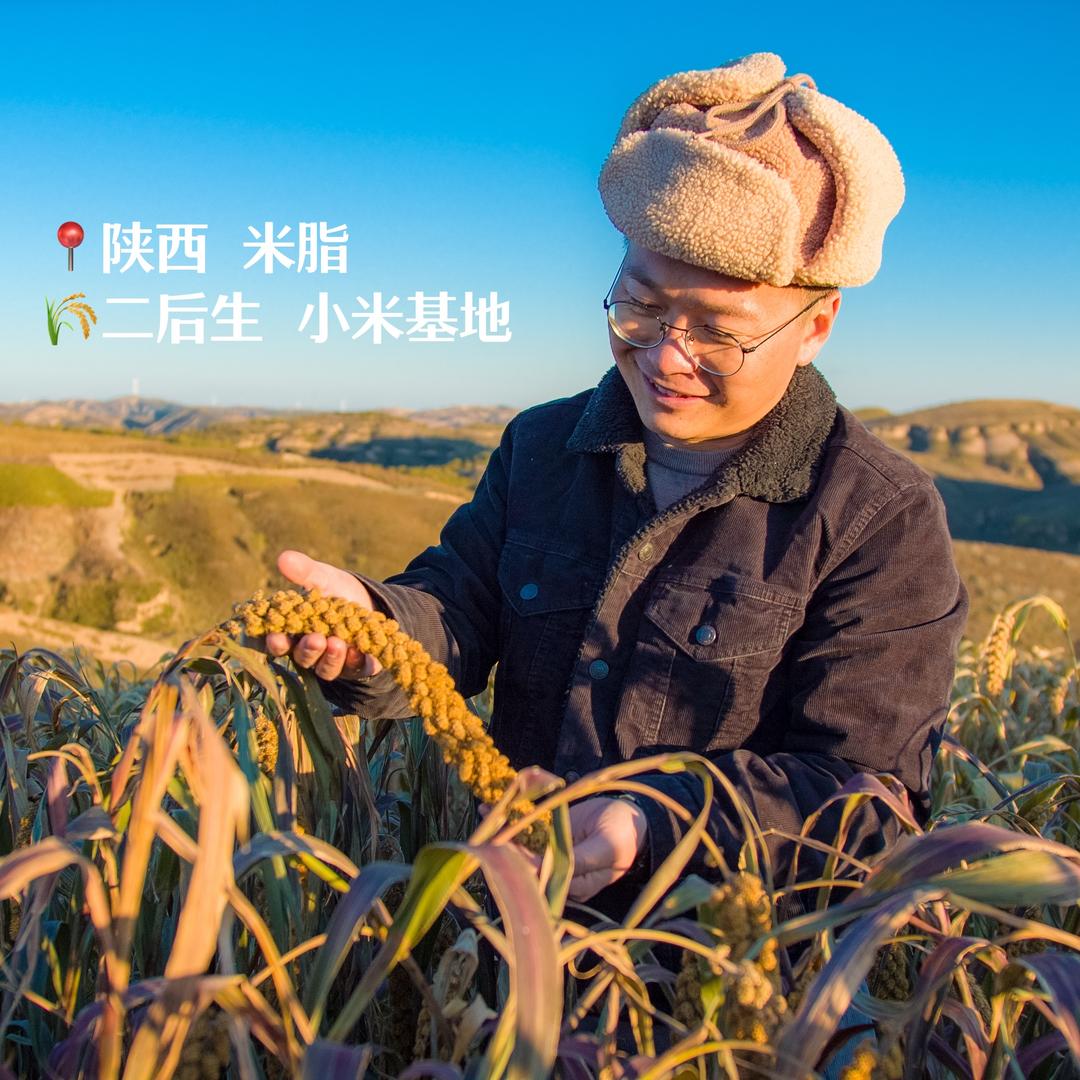 卖小米的二后生
