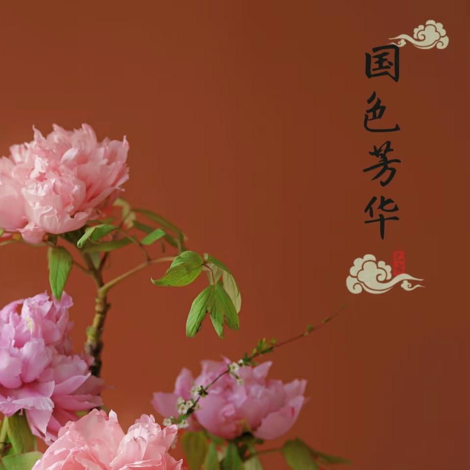 小白花不哭