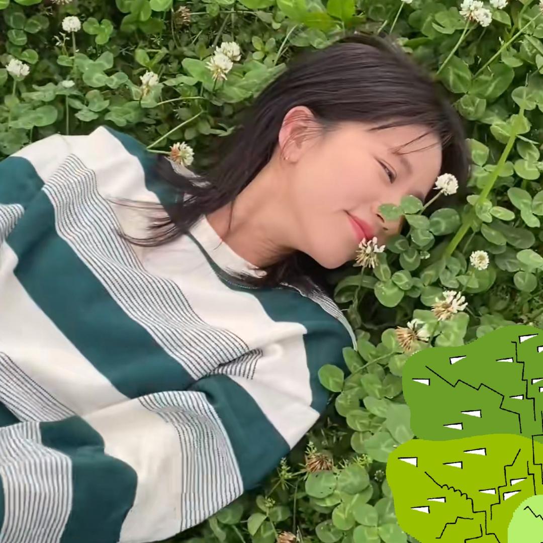 秋刀鱼 y