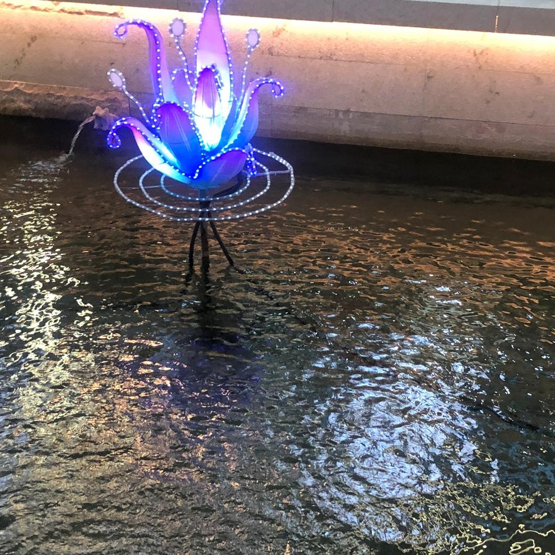 阿萍