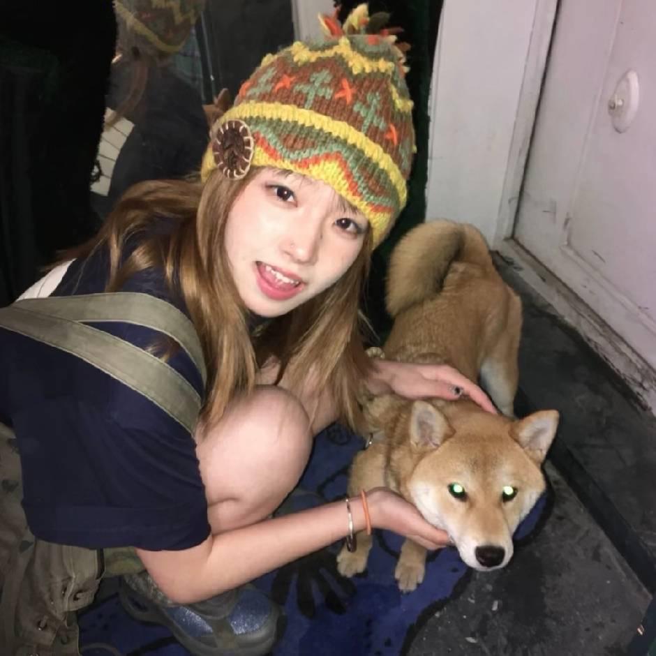 c燕子