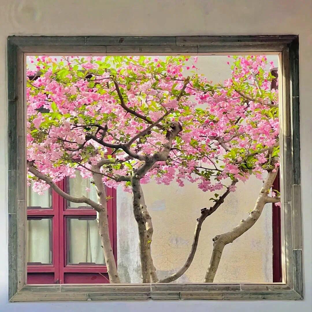宝贝屋子