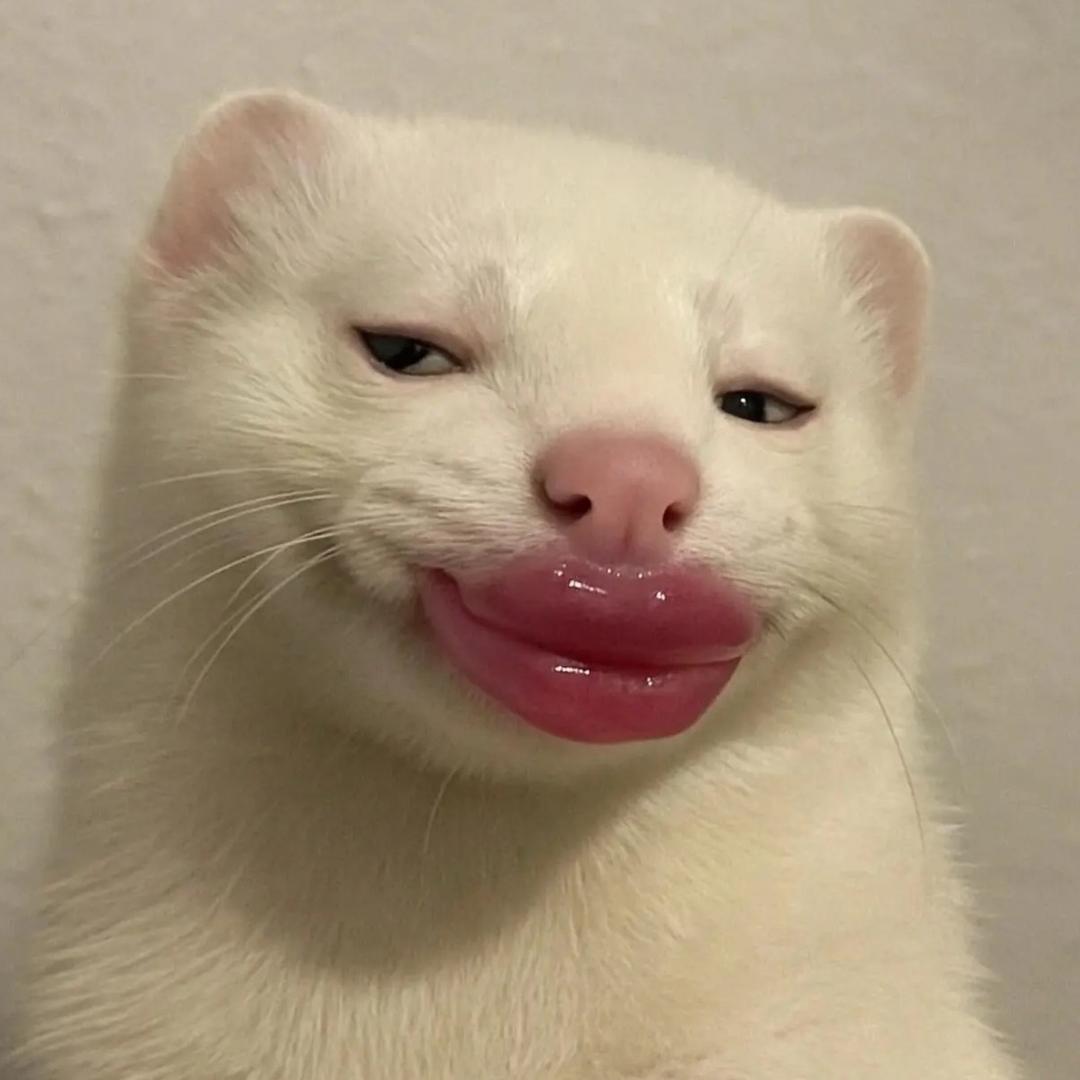 只和修勾说话🧏‍♀️