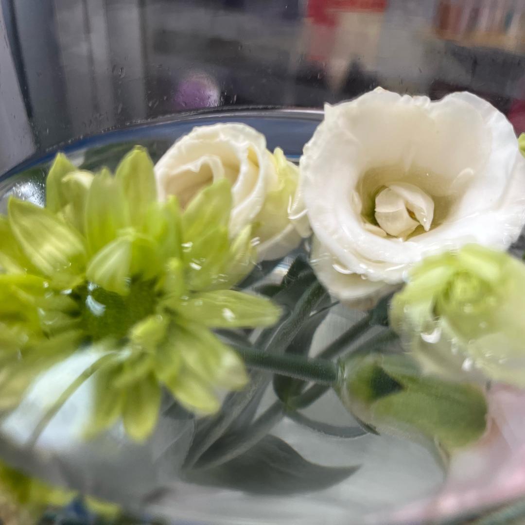 🌸   -