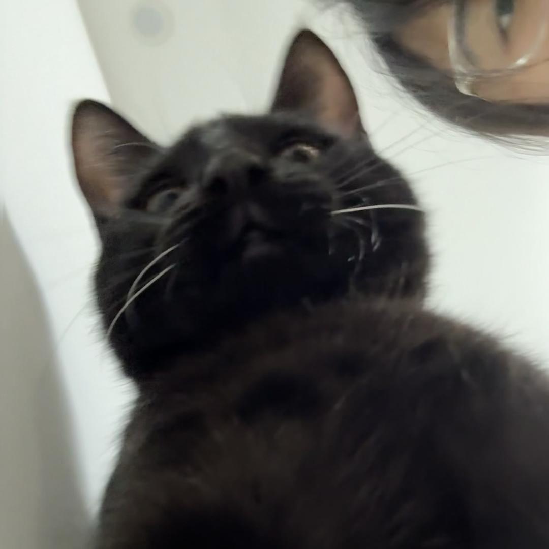 什么都发的杨老板